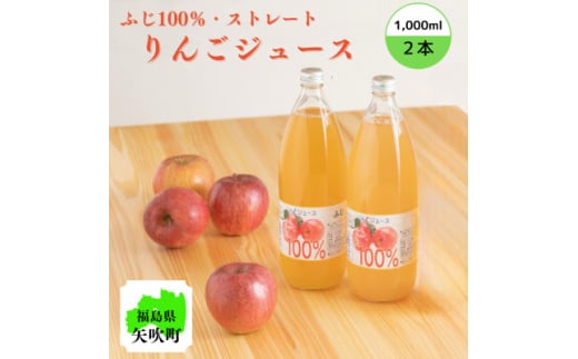 福島県農業短期大学校の果汁100%りんごジュース(ストレート)1000ml×2本セット【1576007】