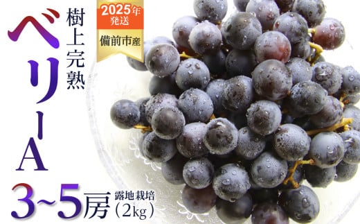 【2025年発送】びぜん葡萄「ベリーＡ」（露地栽培）約2kg 【 岡山県備前市産 ベリーＡ 露地栽培 約2kg 3～5房目安 樹上完熟  】 1734934 - 岡山県備前市