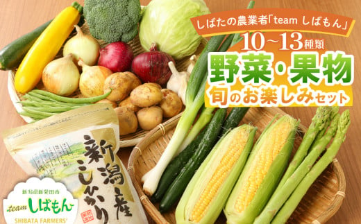 野菜 果物 旬 お楽しみセット 10~13種類  詰め合わせ ほうれん草 水菜 アスパラガス トマト オクラ ぶどう もも さといも オータムポエム りんご にんじん 大根 リーフレタス 米 コシヒカリ みそ にんにく辛みそ ジャム 新潟 新発田 野菜 セット 通年 季節 旬 お楽しみ C16_01