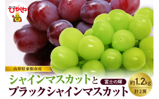 【2025年産　先行予約】山形県東根市産　シャインマスカットとブラックシャインマスカット「富士の輝」の詰め合わせ約1.2kg hi074-006-1 1691345 - 山形県東根市