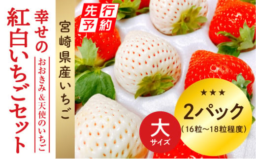 《2025年発送先行予約》【数量・期間限定】宮崎県産 幸せの紅白いちごセット（おおきみ&天使のいちご）大サイズ2パック_M260-010 599105 - 宮崎県宮崎市