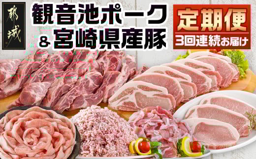 《3回連続お届け》観音池ポーク&宮崎県産豚定期便_T45-3-9201_(都城市) 都城産 観音池ポーク ミンチ ロースしゃぶしゃぶ肉   ブランドポーク 炒め物　切り落とし