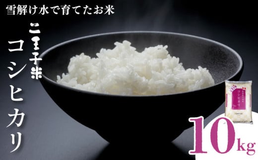 令和6年産 コシヒカリ 10kg 5kg×2袋 数量限定 特別栽培米 二王子米 新潟産 新潟米 新発田産 新発田 お米 米 kome 白米 ご飯 こめ ごはん ライス ふるさと納税米 コシヒカリ お弁当 食品 せいだ とんとん市場 ブランド米 人気米 玄米 新潟県 新発田市 seida003 1703650 - 新潟県新発田市