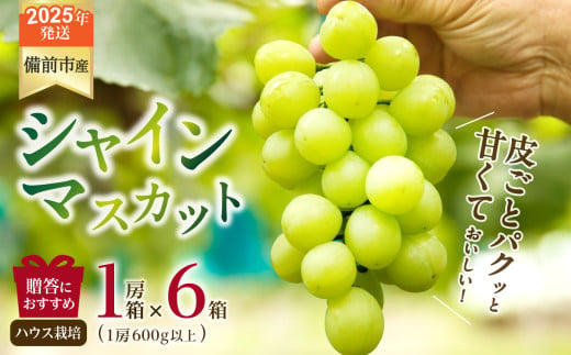 【2025年発送】びぜん葡萄「シャインマスカット」（ハウス栽培）1房入×6箱セット【 岡山県備前市産 シャインマスカット ハウス栽培 1房入×6箱セット 樹上完熟 】 1062615 - 岡山県備前市