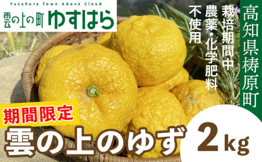 【期間限定】雲の上の黄金ゆず（2ｋｇ）ユズ 柚子 農薬化学肥料不使用 果物 柑橘 産地直送 ゆずジャム ゆず茶 高知県産 常温便 1037531 - 高知県檮原町