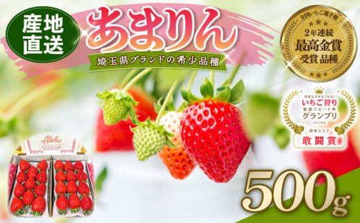 【 予約受付 】 あまりん DXパック 500g （ 250ｇ × 2P ） いちご 苺 ストロベリー 産地直送 ご当地 果物 くだもの フルーツ デザート 食品 冷蔵 ロコファーム 埼玉県 羽生市 1734274 - 埼玉県羽生市