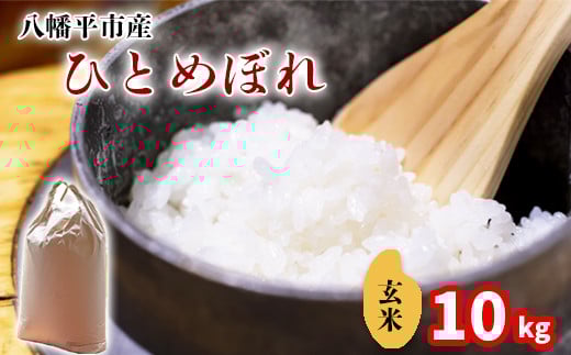【令和7年産】 新米 11月中旬発送開始予定 ひとめぼれ 玄米 10kg （5kg×2袋） ／ 中沢農産 こめ 米 コメ お米 おこめ ご飯 ごはん げんまい おにぎり お弁当 仕送り お取り寄せ 産地直送 農家直送 単一原料米 国産 国産米 東北 岩手県産 八幡平市産 おすすめ
