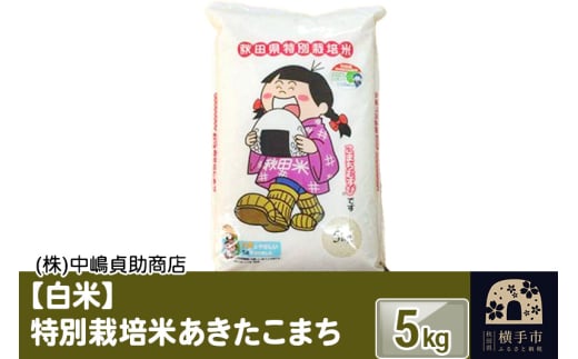 《令和6年産》【白米】秋田県横手産特別栽培米あきたこまち 5kg(5kg×1袋) 1022396 - 秋田県横手市