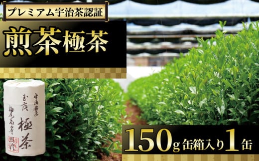 【プレミアム宇治茶（煎茶）】 煎茶 極茶 150g 缶 箱入り 丸利吉田銘茶園 