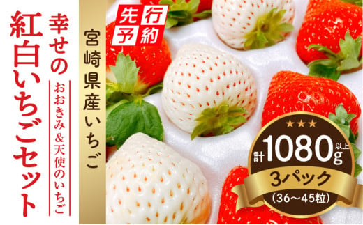 《2025年発送先行予約》【数量・期間限定】宮崎県産 幸せの紅白いちごセット（おおきみ&天使のいちご）3パック_M260-012 1090943 - 宮崎県宮崎市