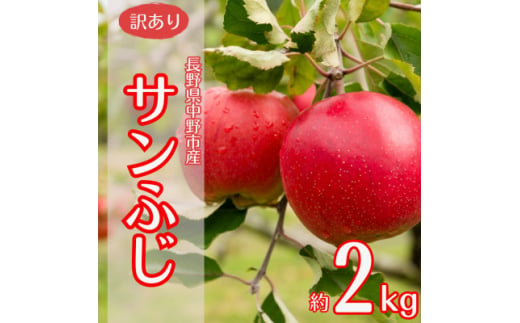 ＜訳あり＞産地直送　信州りんご(サンふじ)2kg (ご家庭用)【1575858】 1744659 - 長野県中野市