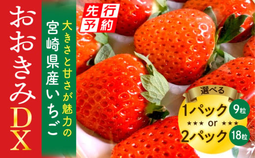 [2025年発送先行予約][選べる内容量][数量・期間限定]宮崎県産いちご「おおきみDX」_M260-004-SKU