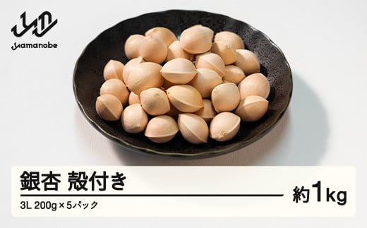 ≪先行予約≫2025年 山形県産 銀杏 殻付き 3L 約1kg（200g×5パック） 2025年10月中旬から順次発送 ぎんなん おつまみ 真空パック 個包装 小分け 秋 野菜 F20A-928