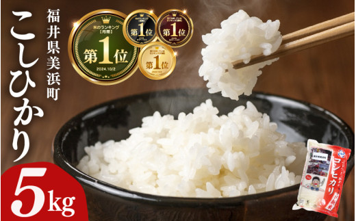 【先行予約】【令和7年産・新米】米 コシヒカリ 5kg × 1袋 精米 福井県美浜町産【2025年8月下旬発送予定】 [m60-a017_08]