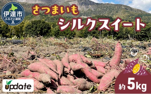 [№5525-1149]北海道 伊達 さつまいも シルクスイート 5kg 熟成 高糖度 サツマイモ 芋 甘い スイートヤバ芋 産地直送 1592948 - 北海道伊達市