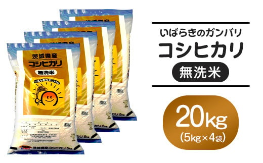 555 無洗米 こしひかり 20kg 5kg × 4袋 全農 茨城 パールライス 無洗コシヒカリ 令和6年 1723438 - 茨城県茨城町