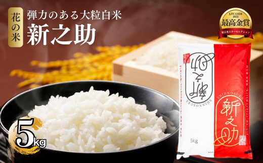 米 【花の米】新之助 白米 5kg お米 こめ おすすめ ふるさと納税 新潟 新潟県産 にいがた 上越 上越産 713511 - 新潟県上越市