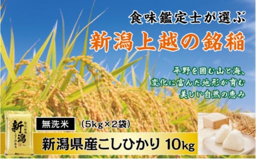 食味鑑定士厳選　新潟県上越市産コシヒカリ　無洗米 10kg 精米 米 お米 1727417 - 新潟県上越市