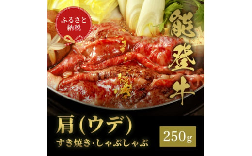 ＜和牛セレブ＞能登牛 牛肩(うで) すき焼き・しゃぶしゃぶ 250g【1556823】 1744764 - 石川県白山市