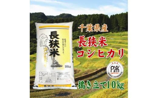 令和6年産千葉県産長狭米コシヒカリ精米10kg【1576561】 1723039 - 千葉県館山市