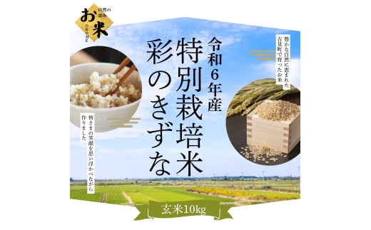 【令和６年産】埼玉県比企郡吉見町産 特別栽培米彩のきずな 【玄米】 10㎏ 1730251 - 埼玉県吉見町