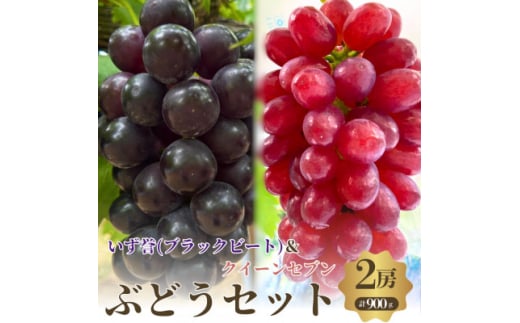 おすすめ感謝セット　クイーンセブン+泉湧誉 2房セット【1564344】 1744589 - 大阪府岸和田市