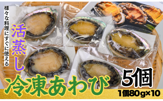 不老不死徐福アワビ伝説！目指せ、あわびシェフ〈5個〉※1個約80g～90gのあわびを使用　[KN14]