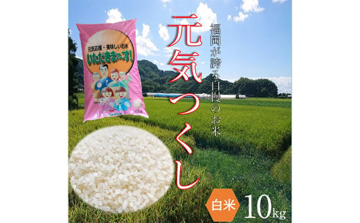 【柳川のお米】 令和6年産 元気つくし 10kg と 麦茶 16P セット 白米 お茶 パック 1723314 - 福岡県柳川市