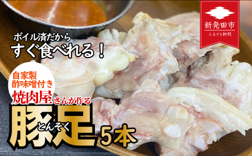 豚足 とんそく トンソク 5本 焼肉 豚肉 冷凍 ボイル済み 焼肉屋 味噌 ぶた ブタ グルメ 一品  ご飯 お米 おつまみ おかず 贈答 プレゼント 保存 新潟 新潟県 新潟産 新発田 新発田市 精香苑 