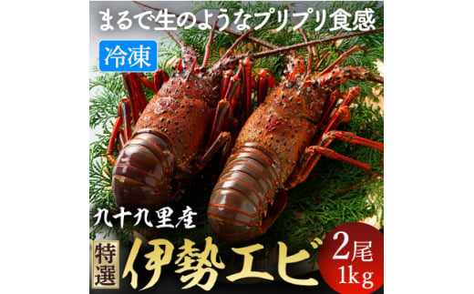 あま～い!うま～い!リキッド凍結伊勢海老 刺身用 2尾1kg【1570782】 1744682 - 千葉県旭市