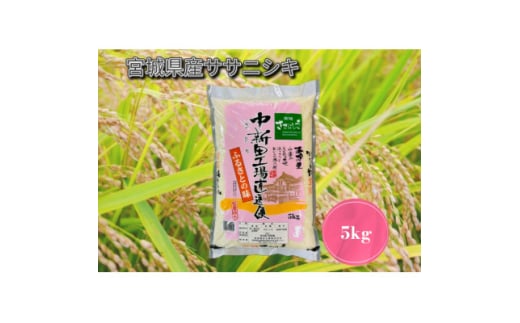 ＜令和6年産＞宮城県産　ササニシキ　精米 5kg【1557596】 1744650 - 宮城県宮城県庁