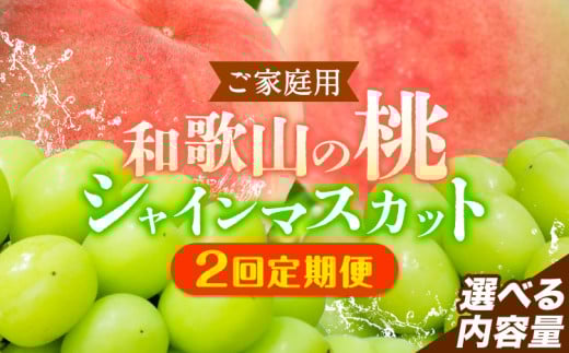 [2回定期便][ご家庭用 訳あり]和歌山の桃 約2kg (6玉~8玉) 大粒 シャインマスカット 約1.2kg または 1.4kg m&n果実園 [2025年6月中旬-10月下旬頃出荷]和歌山県 紀の川市 送料無料 桃 旬 果物 フルーツ[配送不可地域あり]