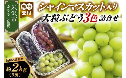 《 数量限定 》 【 令和7年産 】 シャインマスカット 入り 3色 大粒 ぶどう 詰合せ 2.0kg 3房 〔 9月中旬 ～ 下旬頃 お届け 〕 2025年産 白ぶどう 赤ぶどう 黒ぶどう 農家直送 産地直送 1324644 - 山形県米沢市