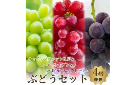 おすすめ感謝セット　シャインマスカット2房+クイーンセブン+泉湧誉　4房セット【1564389】 1744593 - 大阪府岸和田市