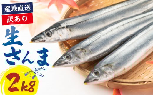 【2025年先行予約】 訳あり 鮮さんま 約2kg 冷蔵 秋刀魚 限定 三陸 岩手県 大船渡市