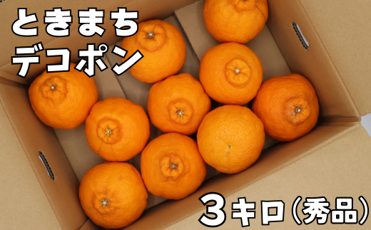 宮川農園のハウス栽培「ときまちデコポン」約3kg（秀品） ／ ミカン みかん 蜜柑 柑橘類 デコポン 不知火 先行予約 4月 甘い フルーツ ＜144-006_6＞ 264462 - 大分県杵築市