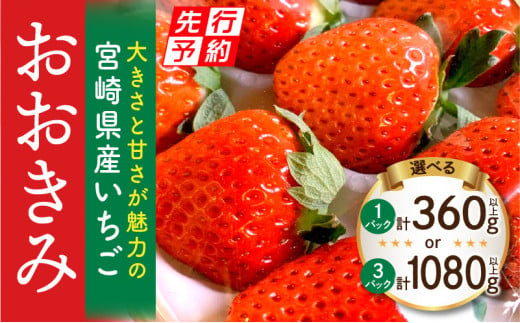 [2025年発送先行予約][選べる内容量][数量・期間限定]宮崎県産いちご「おおきみ」_M260-001-SKU