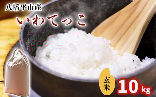 【令和7年産】 新米 11月中旬発送開始予定 いわてっこ 玄米 10kg （5kg×2袋） ／ 中沢農産 こめ 米 コメ お米 おこめ ご飯 ごはん げんまい おにぎり お弁当 仕送り お取り寄せ 産地直送 農家直送 単一原料米 国産 国産米 東北 岩手県産 八幡平市産 おすすめ