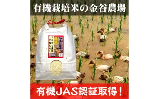 令和6年産 新潟県産アイガモ農法JAS有機栽培米こがねもち 白米9kg（3kg×3）もち米 オーガニック 新潟 1727397 - 新潟県上越市