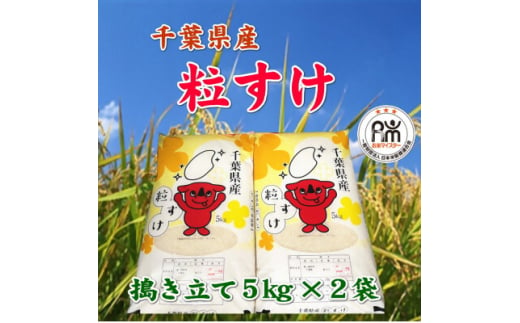 令和6年産千葉県産粒すけ精米10kg(5kg×2袋)【1576584】 1744543 - 千葉県館山市