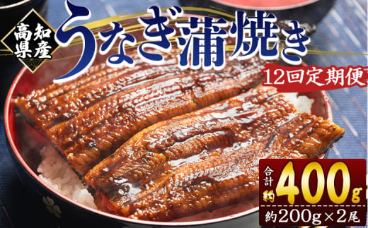 定期便 うなぎ 蒲焼き 約200g 2尾 12回 高知県産 養殖 魚介 国産 海鮮 魚 かばやき 鰻 ウナギ 惣菜 おかず お手軽 加工品 加工食品 冷凍 Wfb-0052 1738282 - 高知県香南市