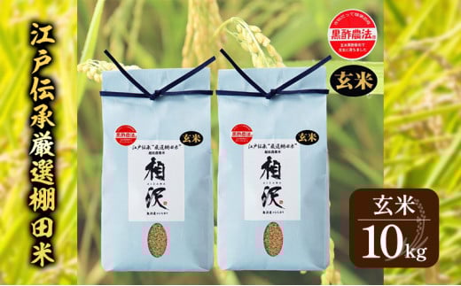 【玄米】江戸伝承厳選棚田米10kg(5kg×2) 607188 - 新潟県十日町市