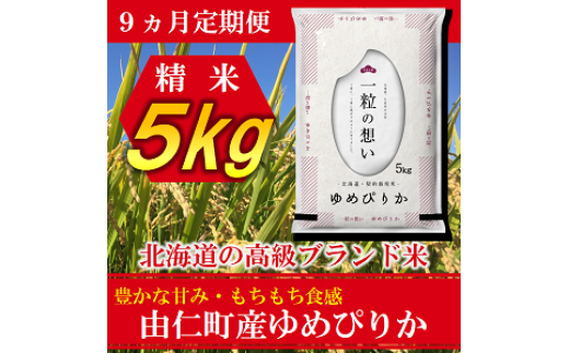 TT04 【9カ月定期】ゆめぴりか 5kg 計45kg 956846 - 北海道由仁町