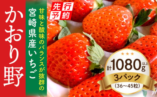 《2025年発送先行予約》【期間・数量限定】宮崎県産いちご「かおり野」3パック（計1080g以上：36粒～45粒）_M260-014 1090945 - 宮崎県宮崎市