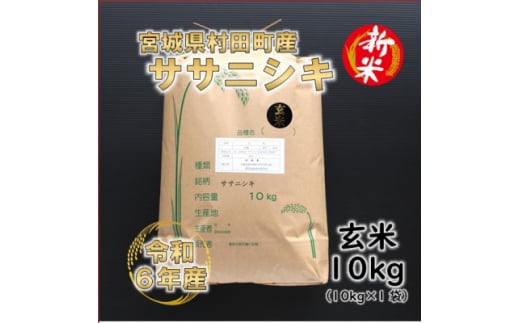 ＜新米＞令和6年産 ササニシキ 玄米10kg(10kg×1) 宮城県村田町産【1576559】 1744538 - 宮城県村田町