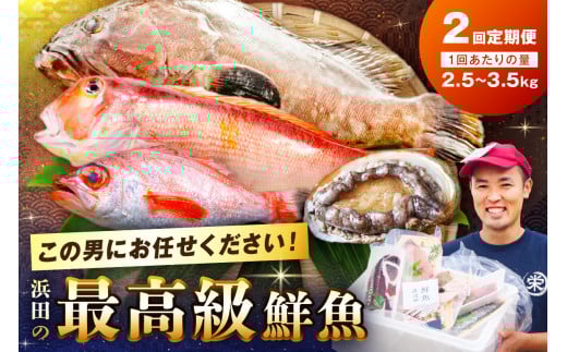 【定期便】どんちっち浜田【極み】鮮魚 2回コース～最高級この男シリーズ～【006_2016】