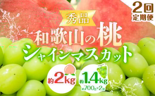 【2回定期便】【贈答用/熨斗非対応】秀品 和歌山の桃 約2kg (6玉~8玉) 大粒 シャインマスカット 約1.4kg (約700g×2房) m&n果実園 《2025年6月中旬-10月下旬頃出荷》和歌山県 紀の川市 送料無料 桃 旬 果物 フルーツ【配送不可地域あり】