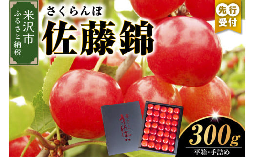 《 先行予約 》 【 令和7年産 】 さくらんぼ 佐藤錦 300g 平箱 手詰め ( 秀 L 以上 ) 〔 6月中旬 ～ 下旬頃 お届け 〕 2025年産 農家直送 産地直送 1322477 - 山形県米沢市