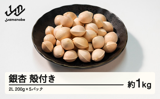 ≪先行予約≫2024年 山形県産 銀杏 殻付き 2L 約1kg（200g×5パック） 2024年10月上旬から順次発送 ぎんなん おつまみ 真空パック 個包装 小分け 秋 野菜 F20A-731