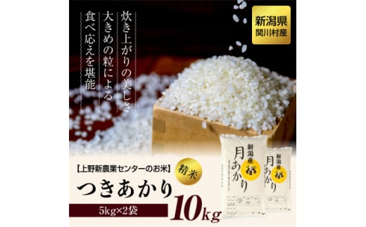 上野新農業センターのお米 関川村産つきあかり精米10kg(5kg×2袋)【1343649】 713921 - 新潟県関川村